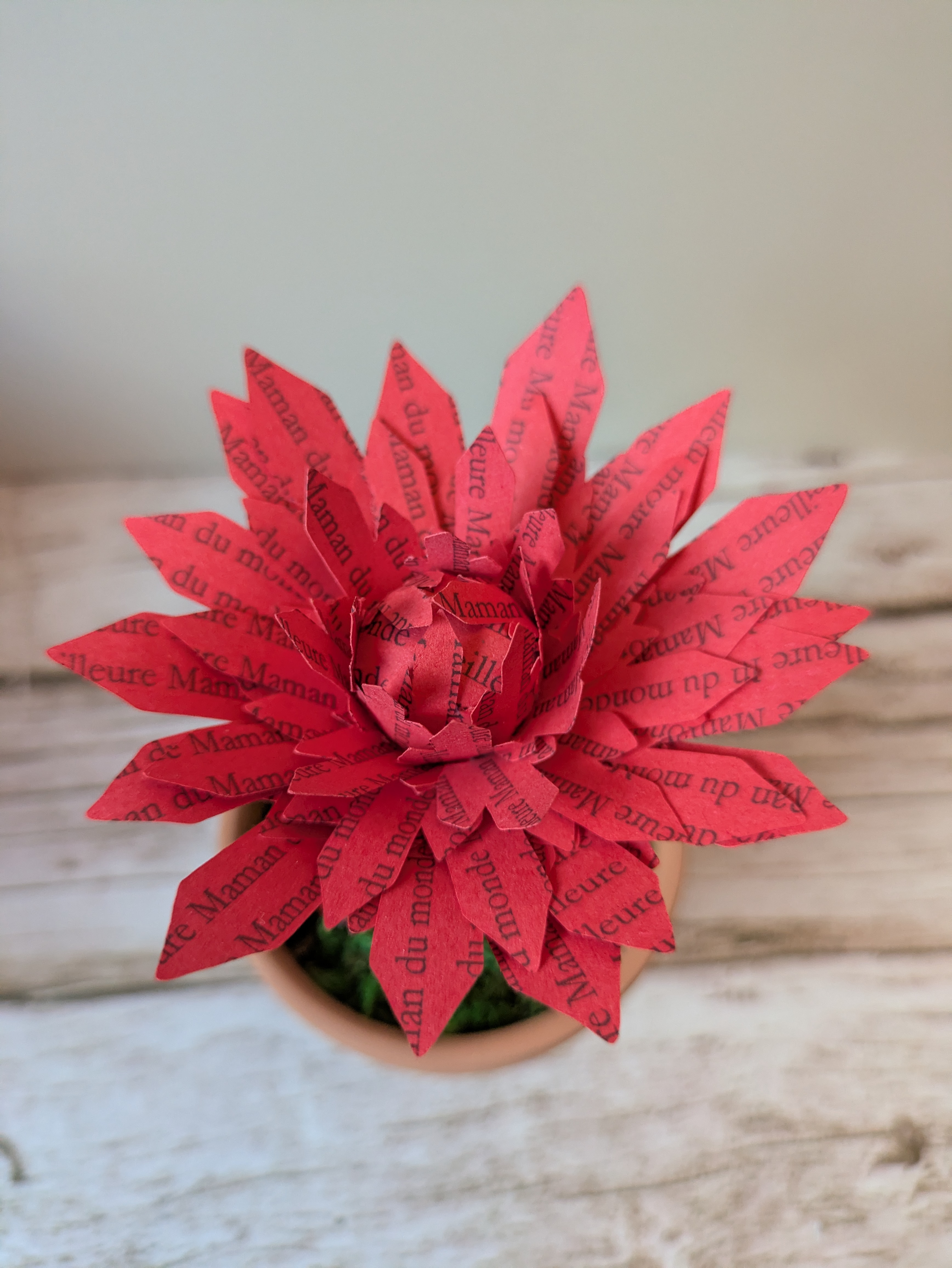 Fleur en pot Meilleure maman du monde 
