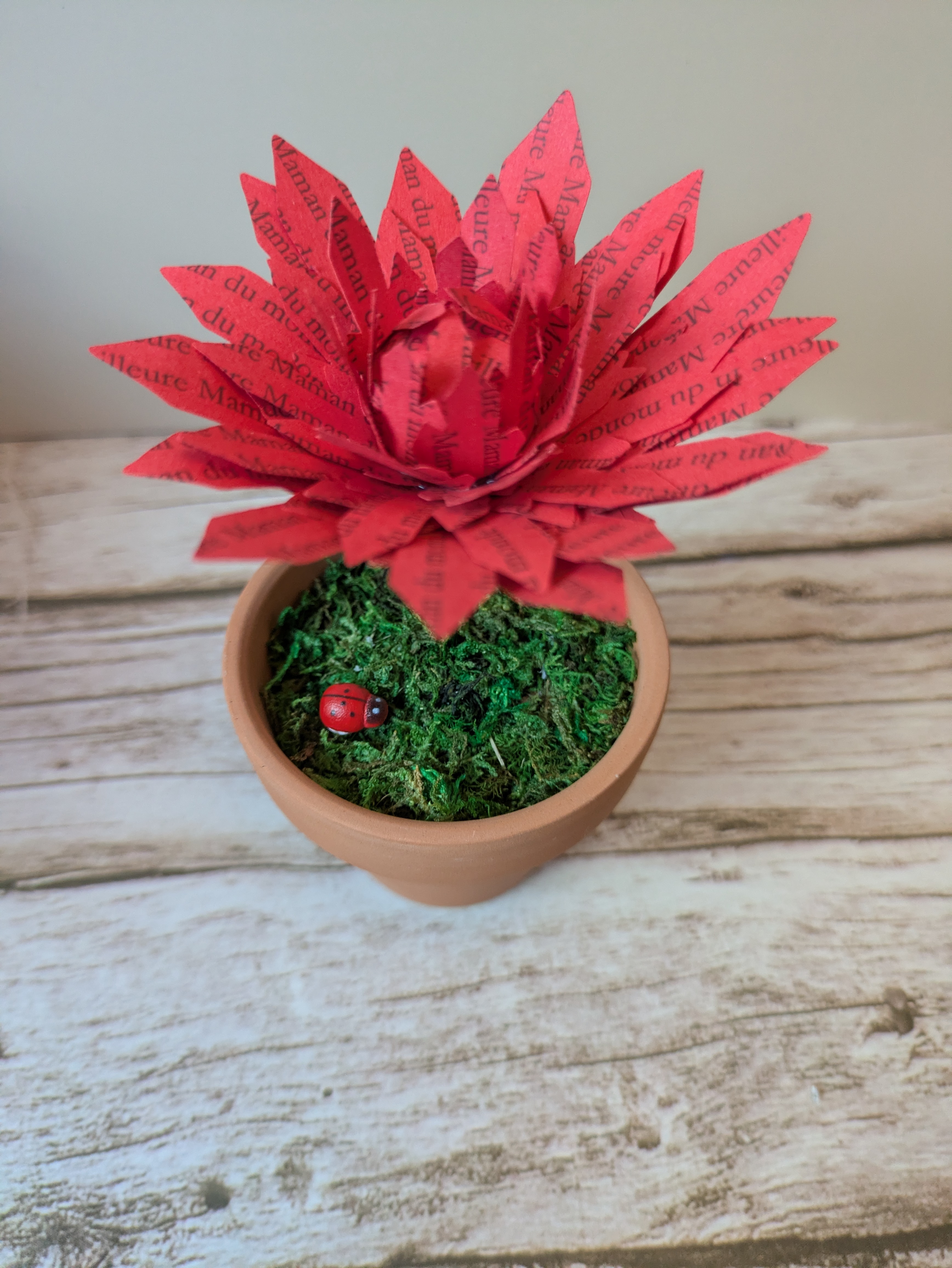 Fleur en pot Meilleure maman du monde 