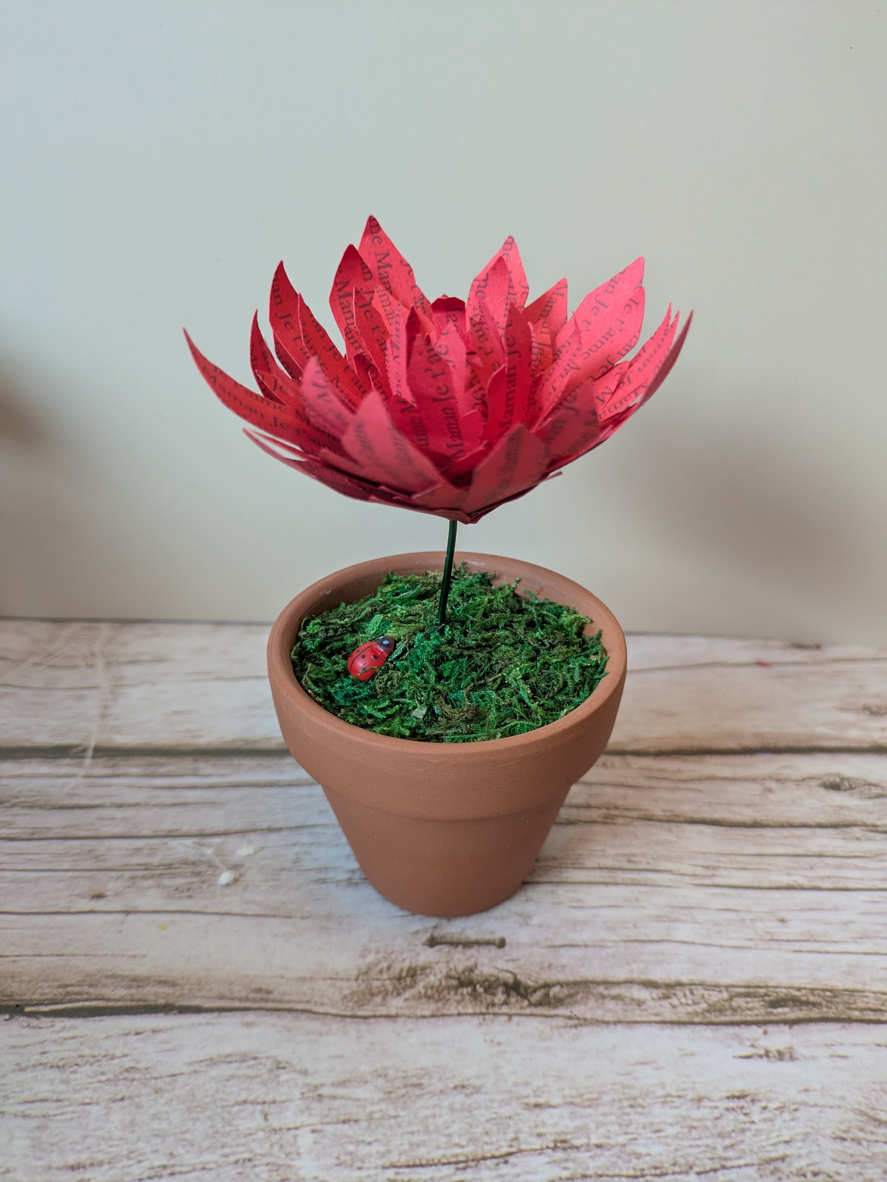 Fleur en pot Maman je t'aime 