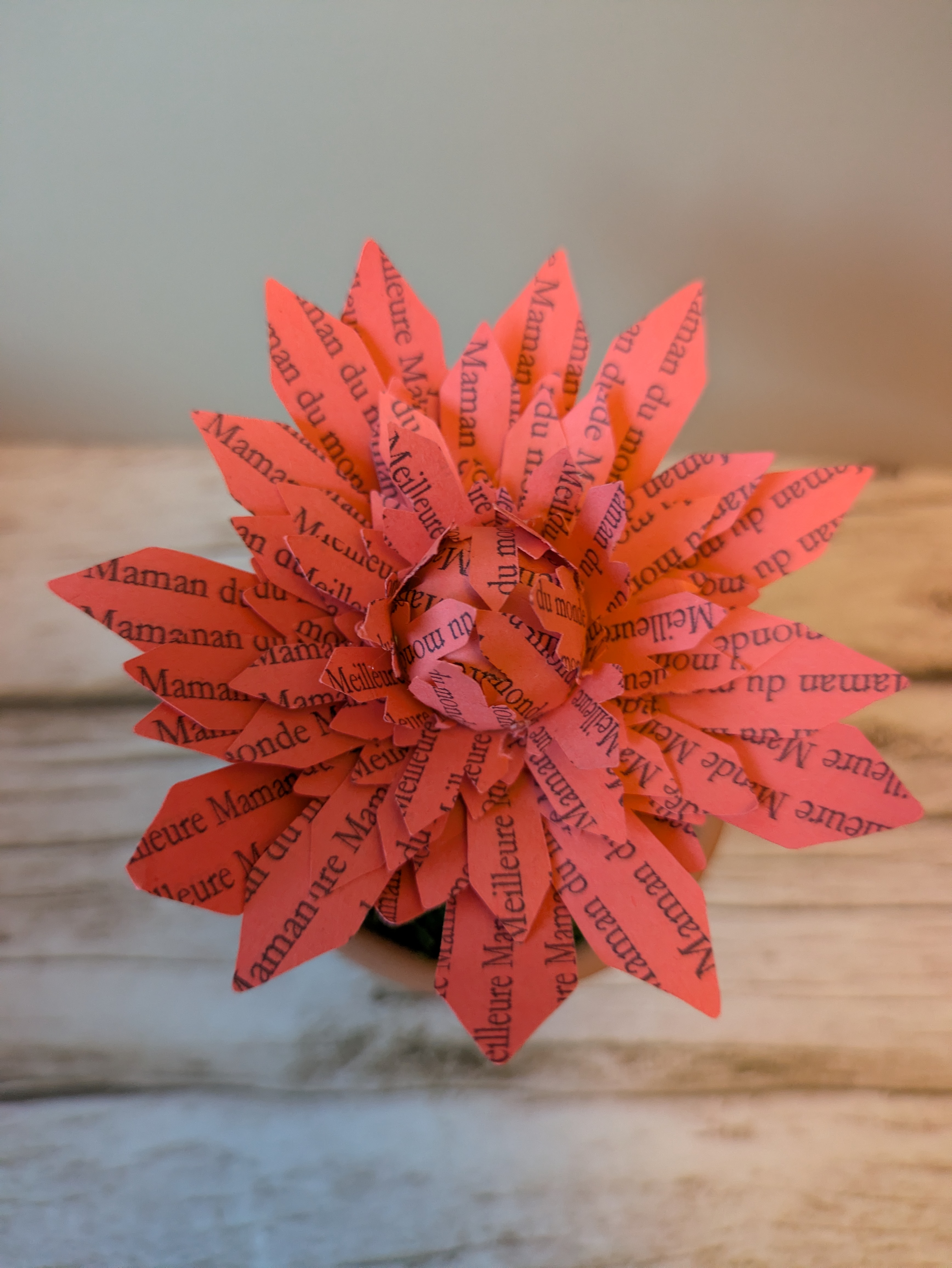 Fleur rose en pot Meilleure maman du monde 