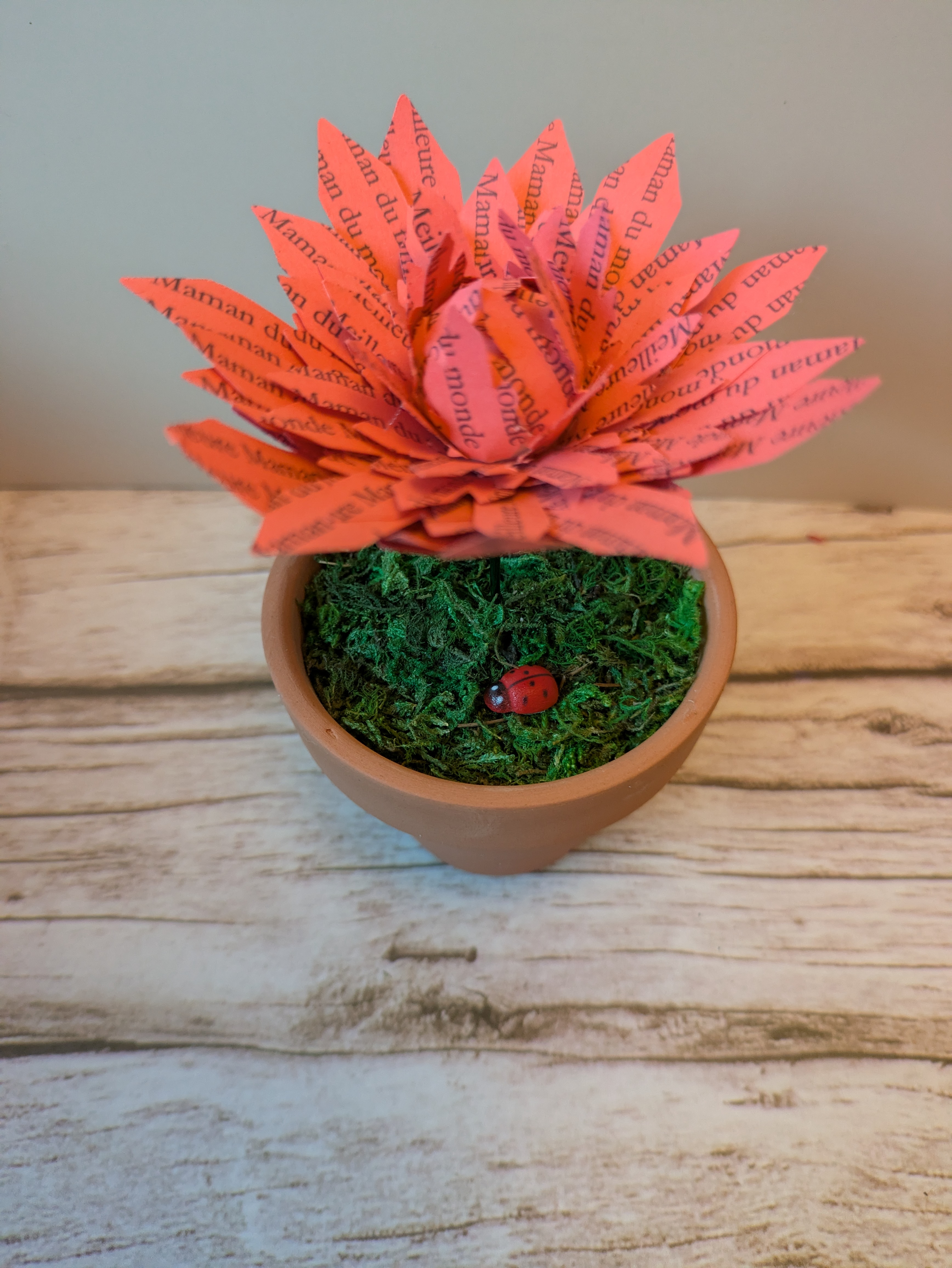 Fleur rose en pot Meilleure maman du monde 