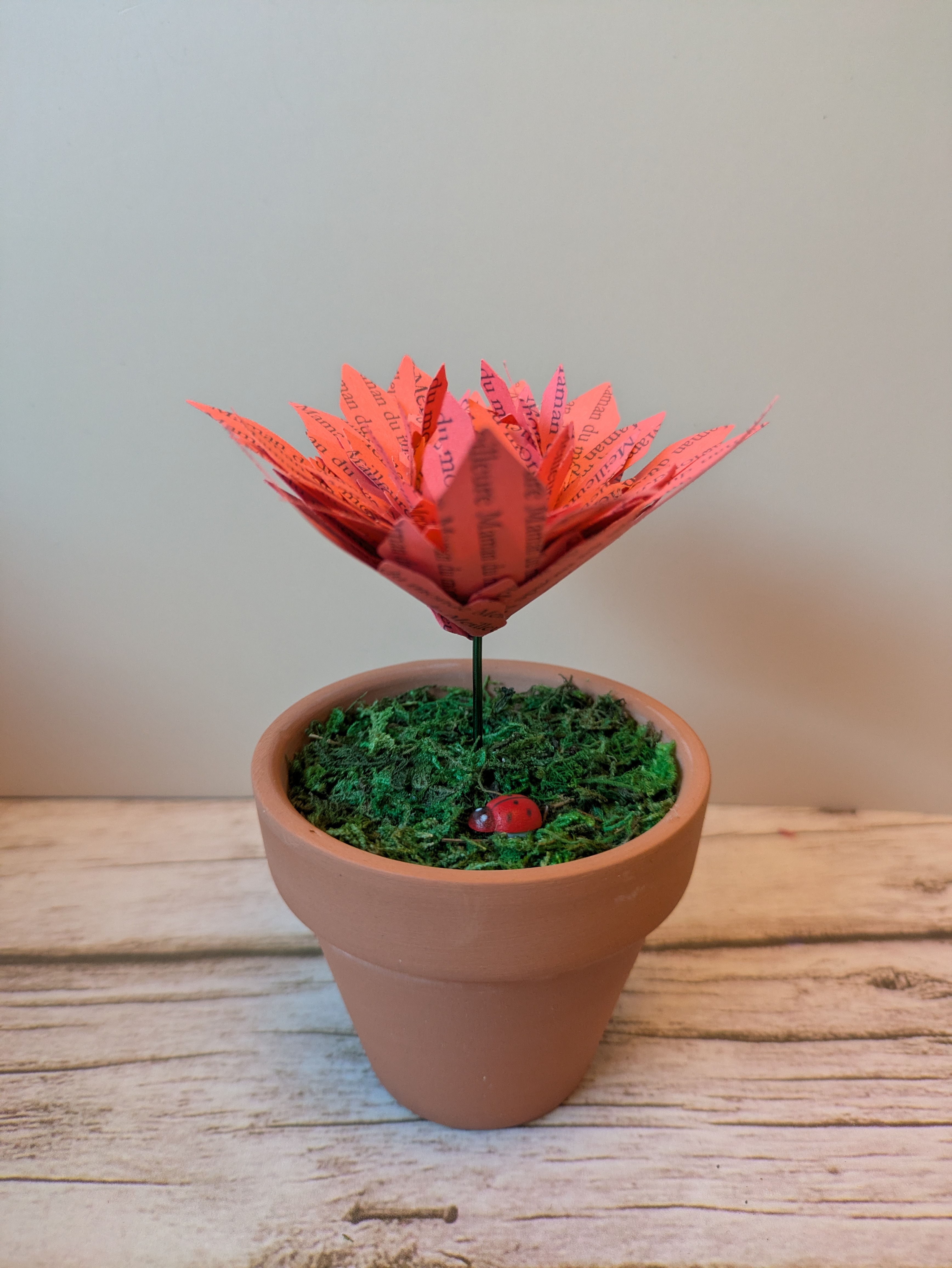 Fleur rose en pot Meilleure maman du monde 