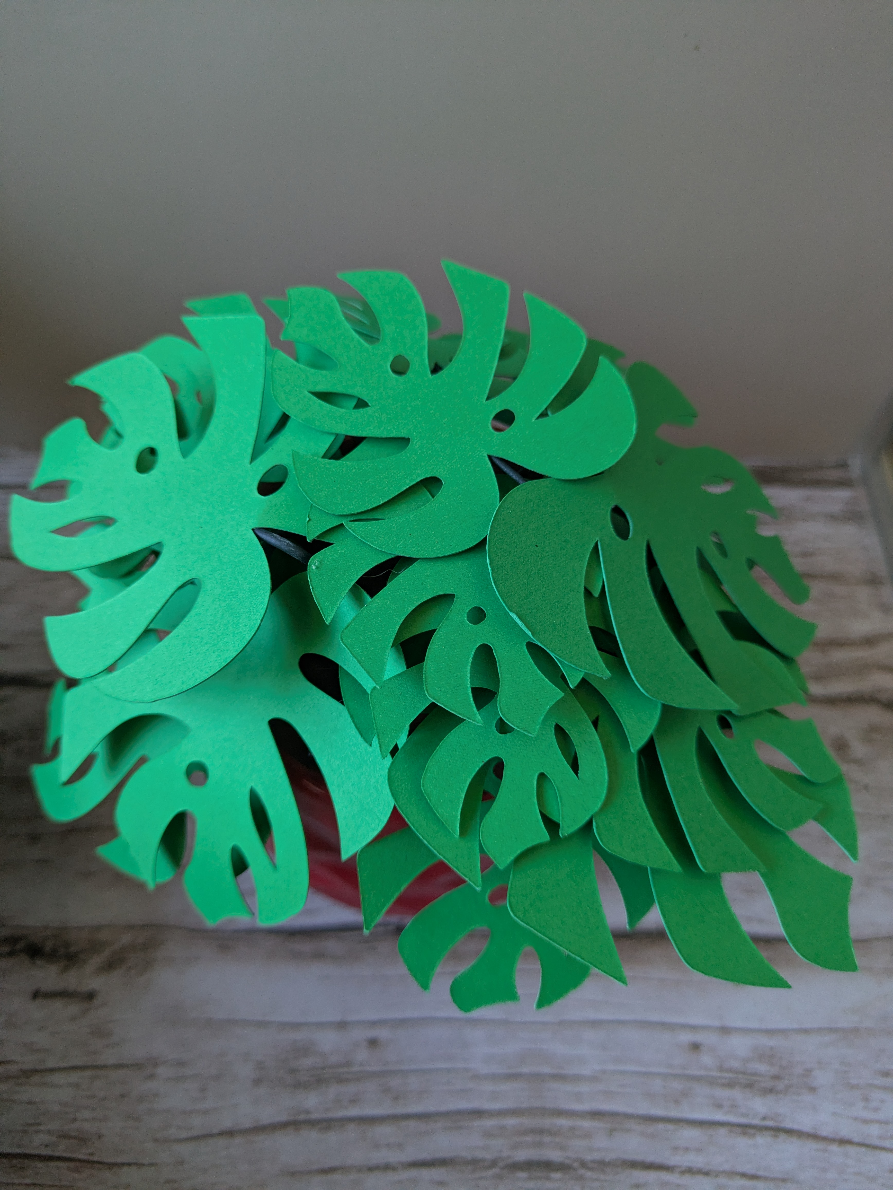 Monstera cache pot rouge 