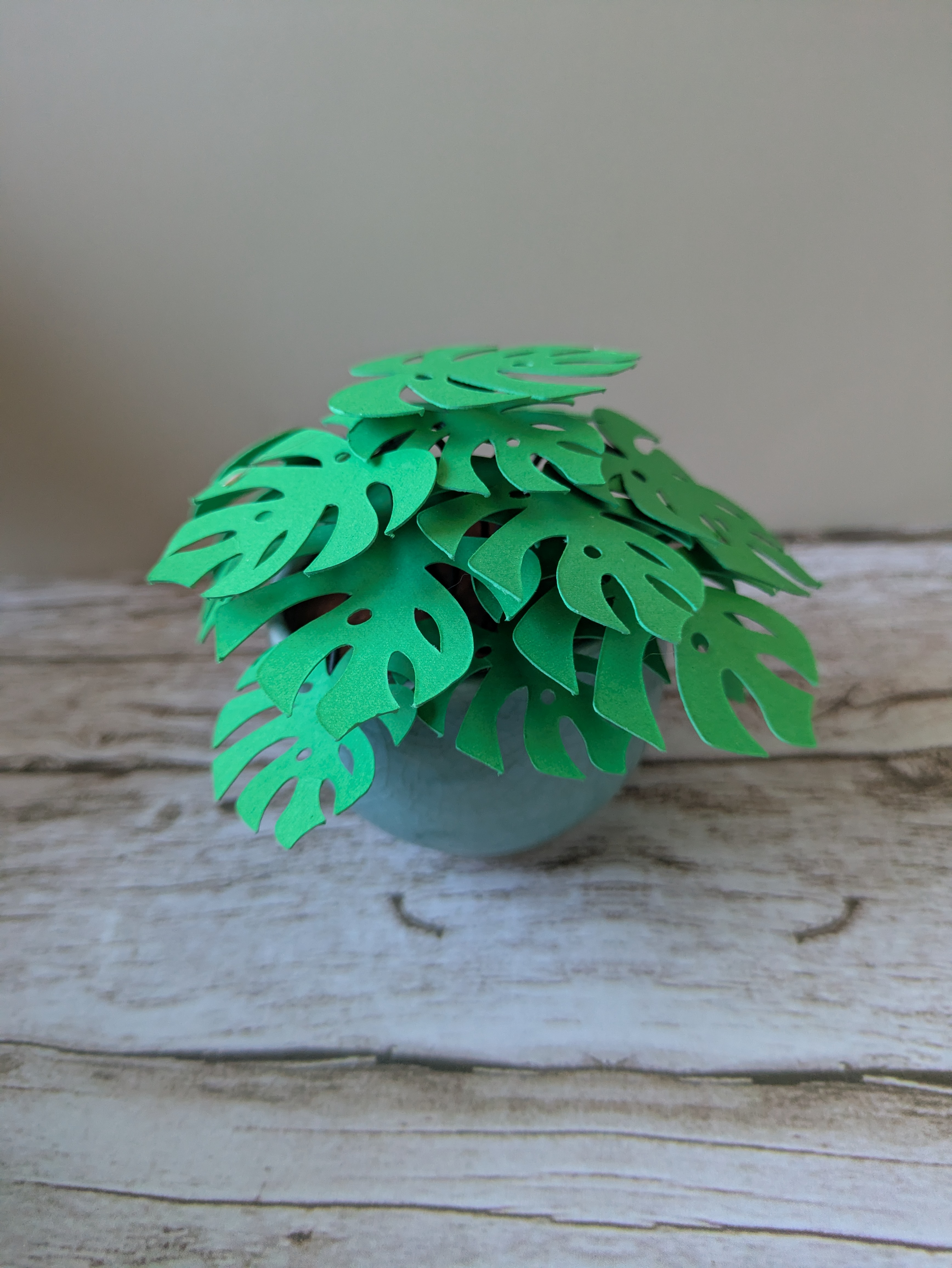 Petite monstera cache- pot bleu
