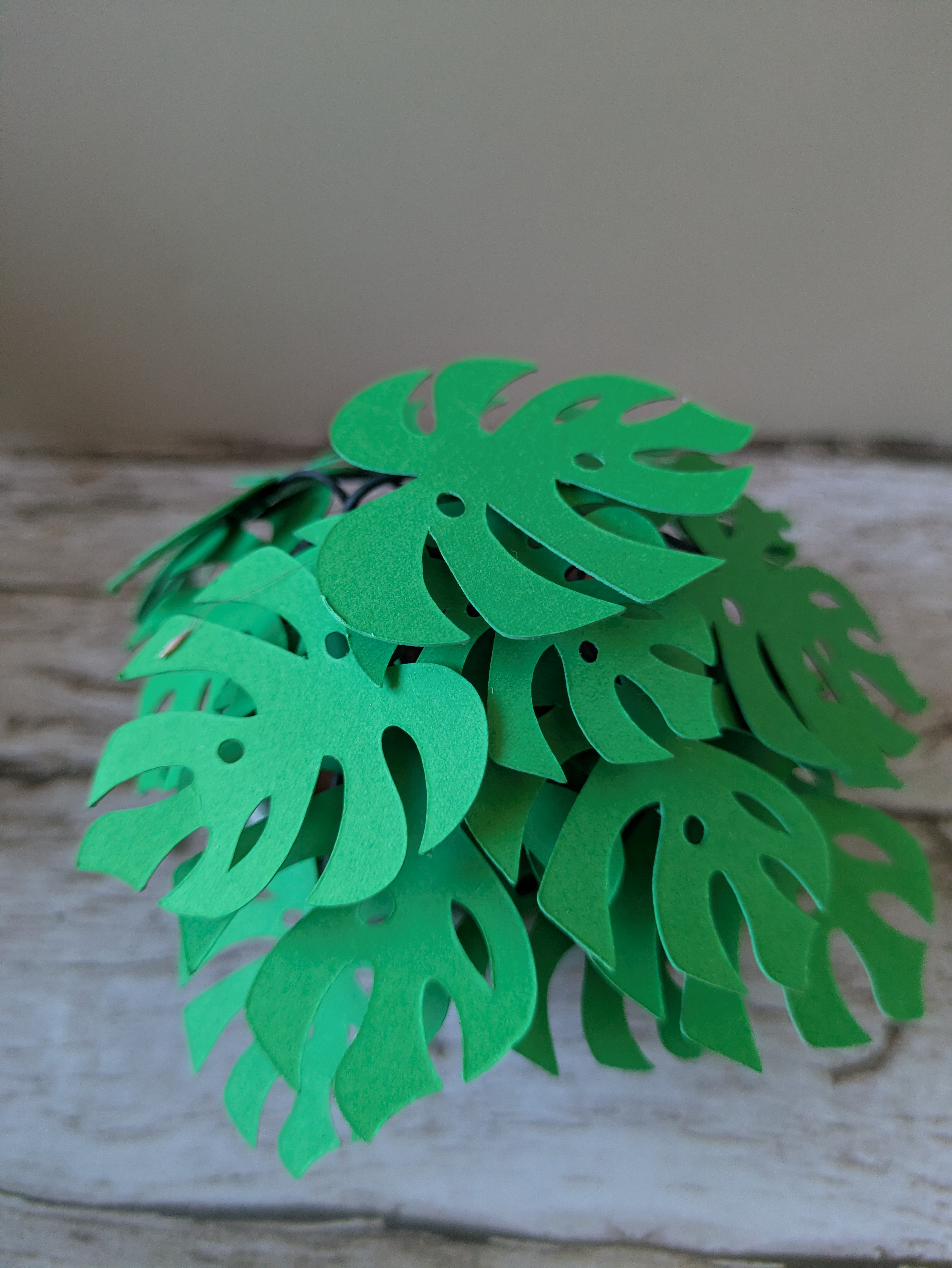 Petite monstera cache- pot bleu