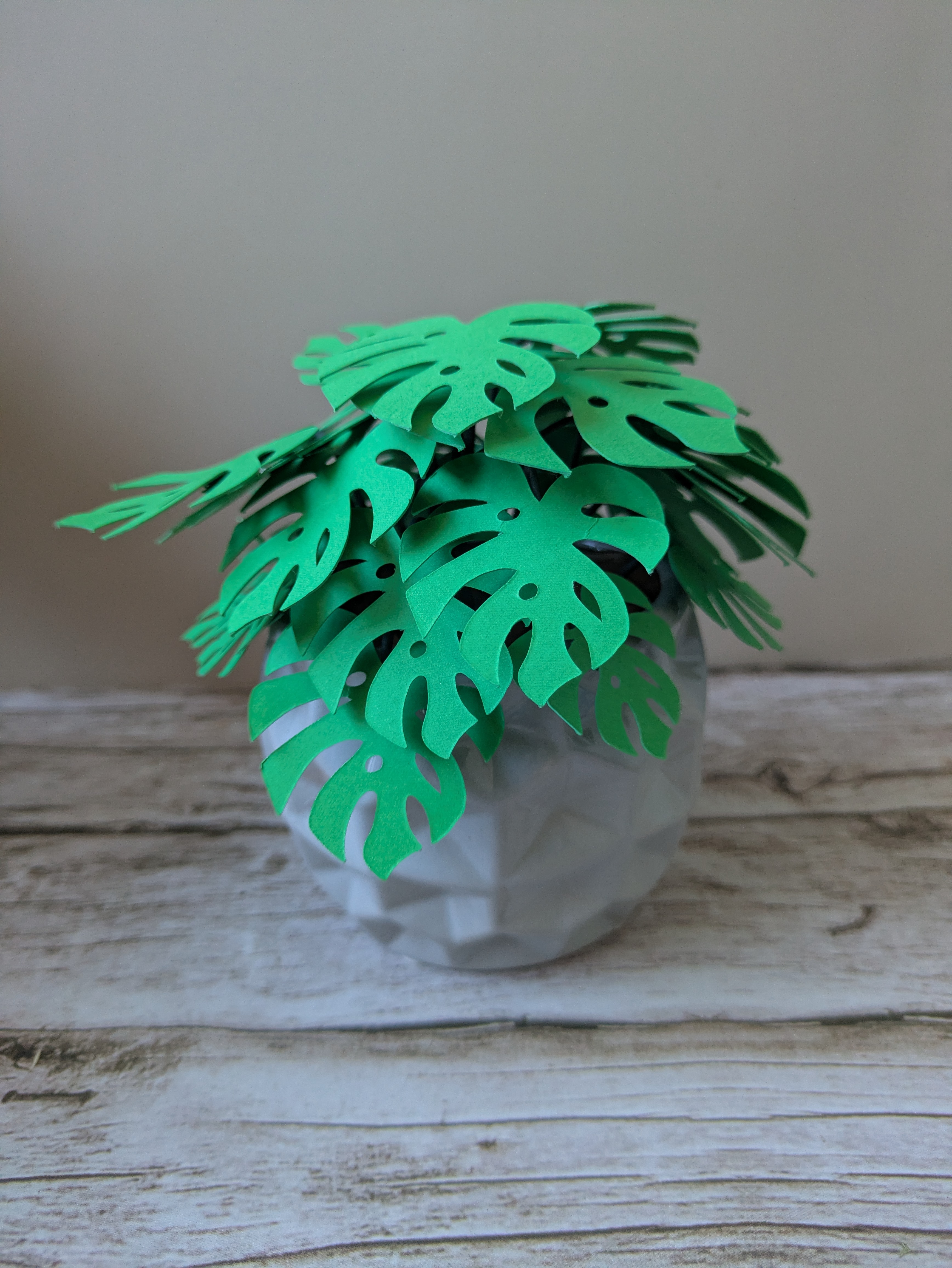 Monstera cache-pot gris 