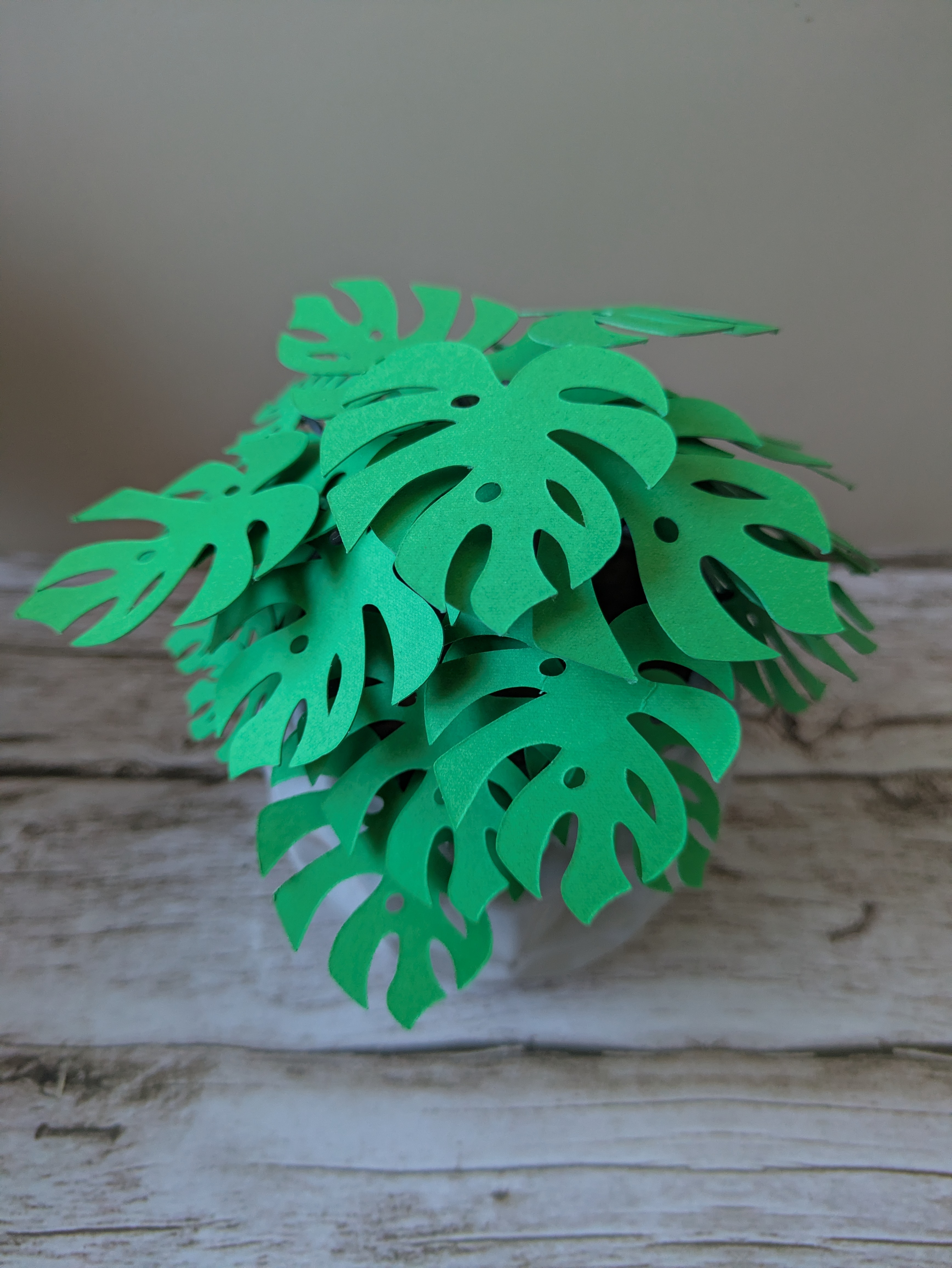 Monstera cache-pot gris 
