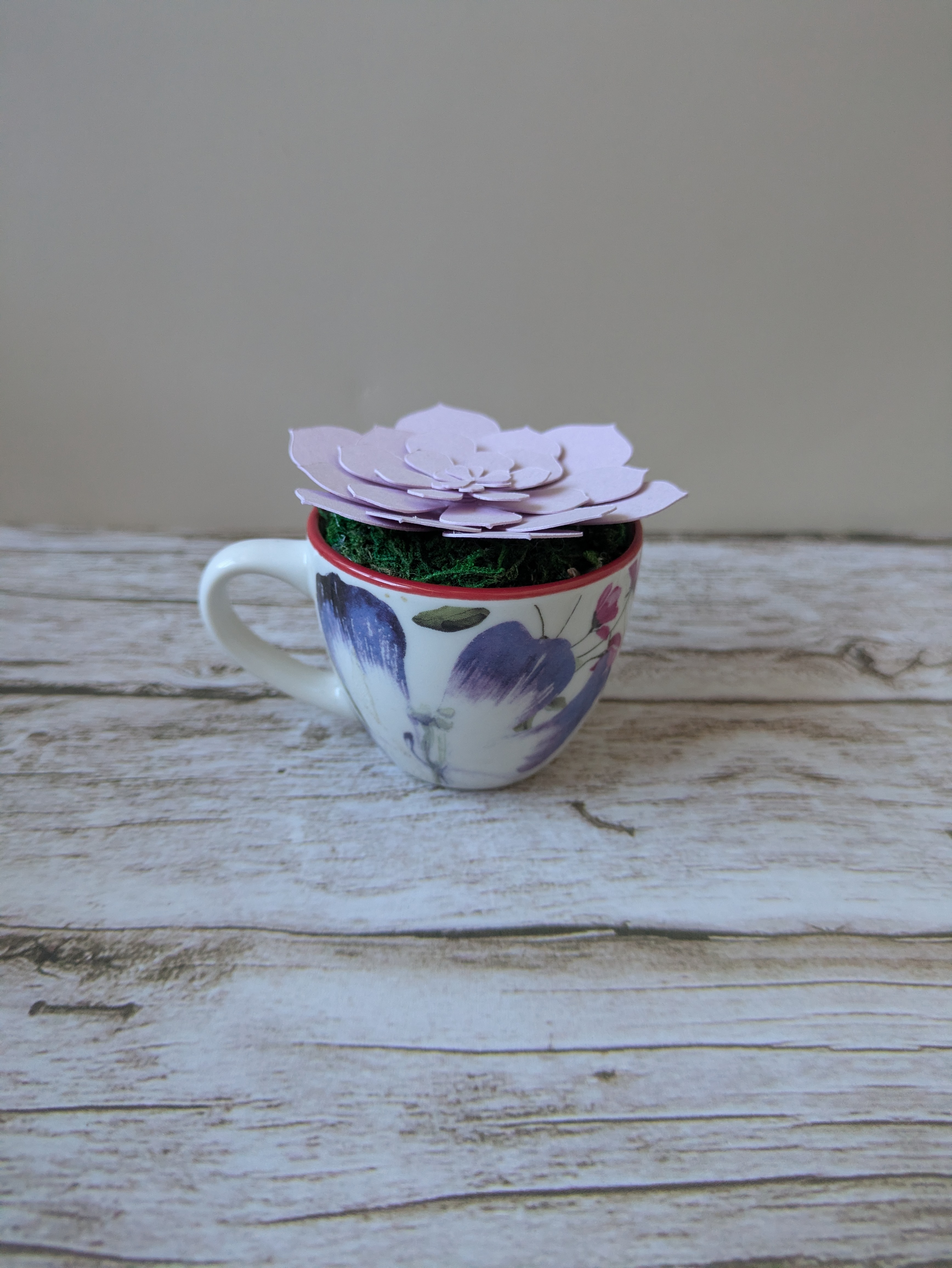 Tasse succulente