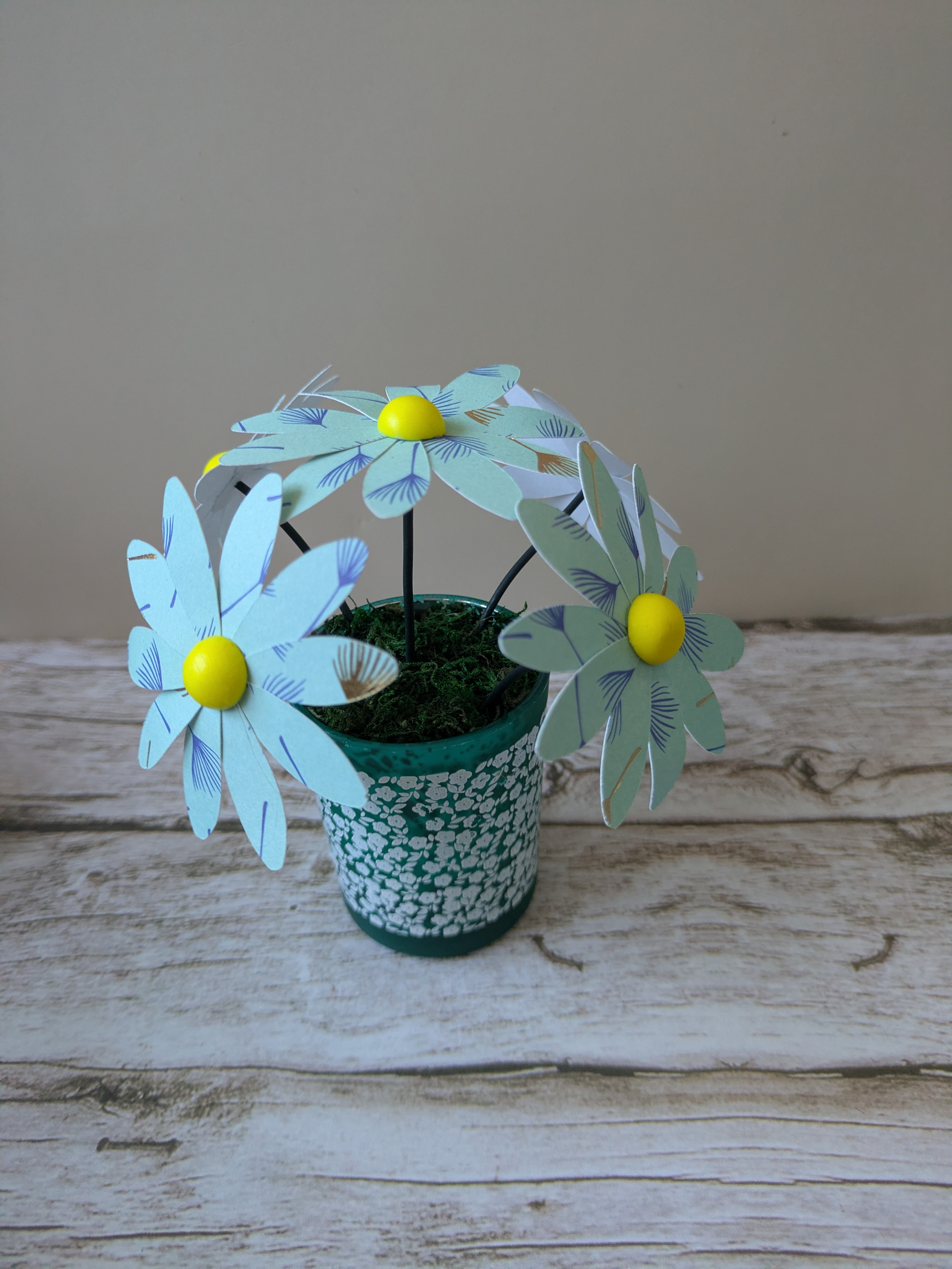 Bouquet marguerite bleues claires