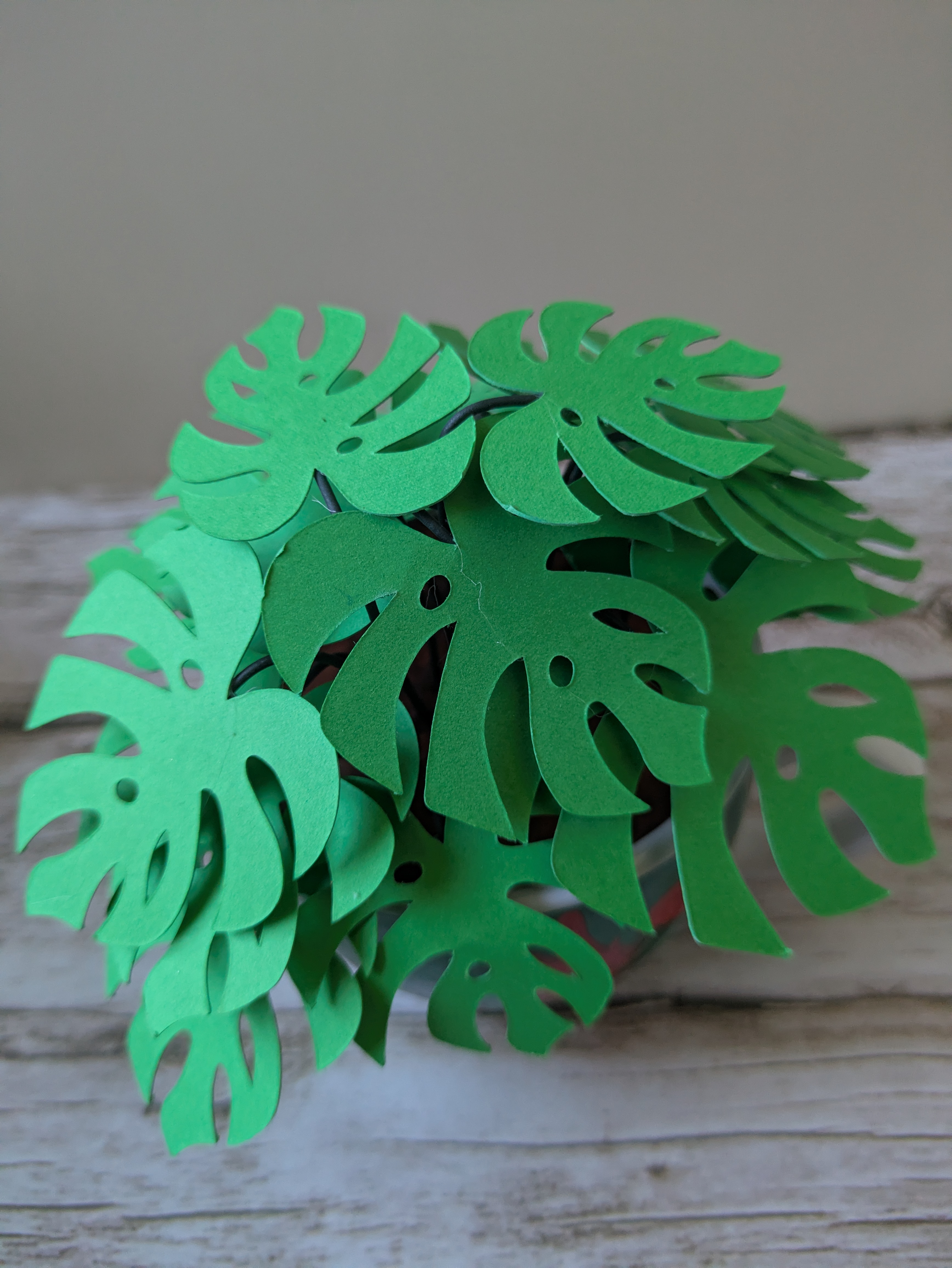 Tasse monstera