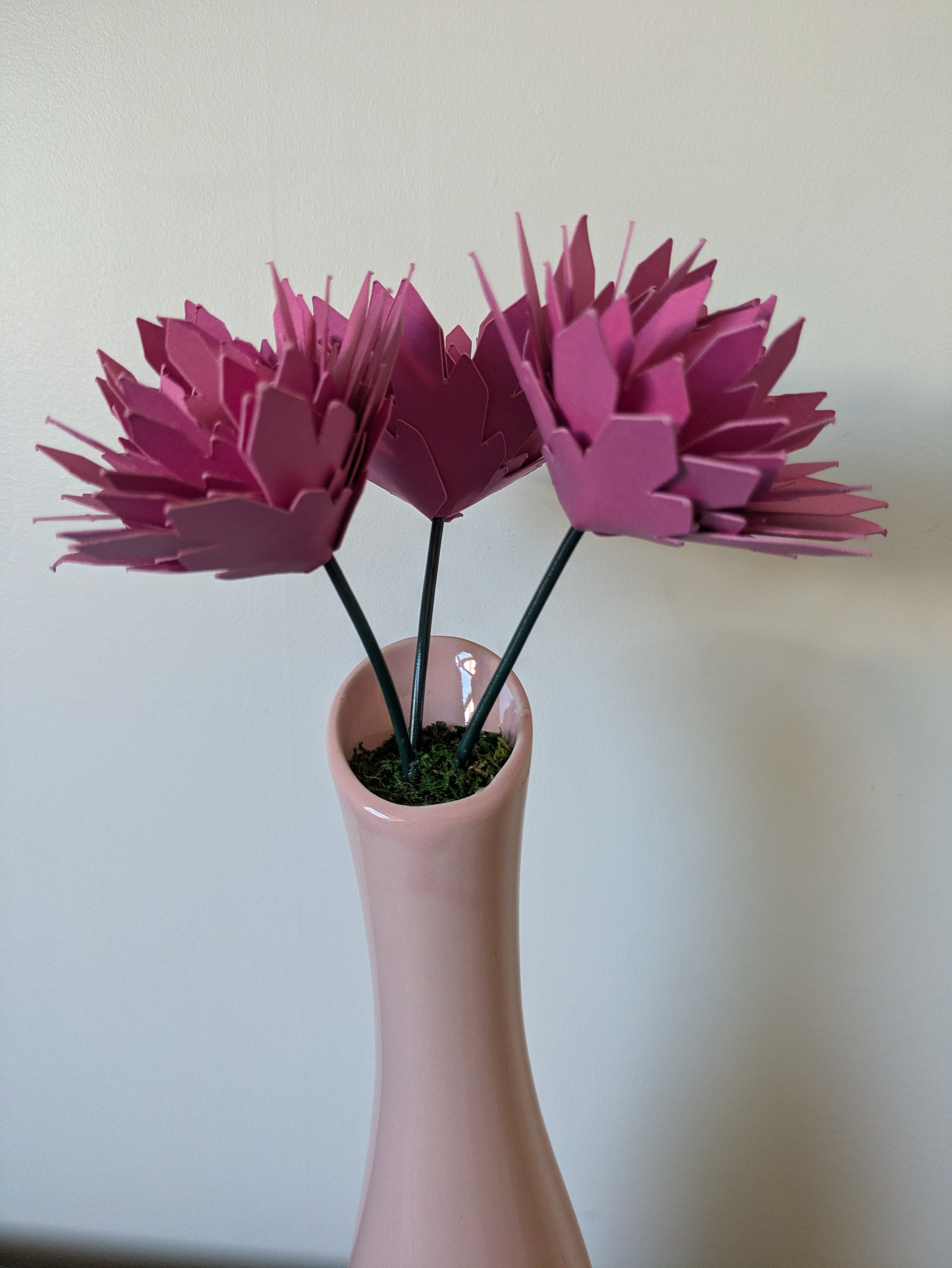 Trio de dahlias roses 