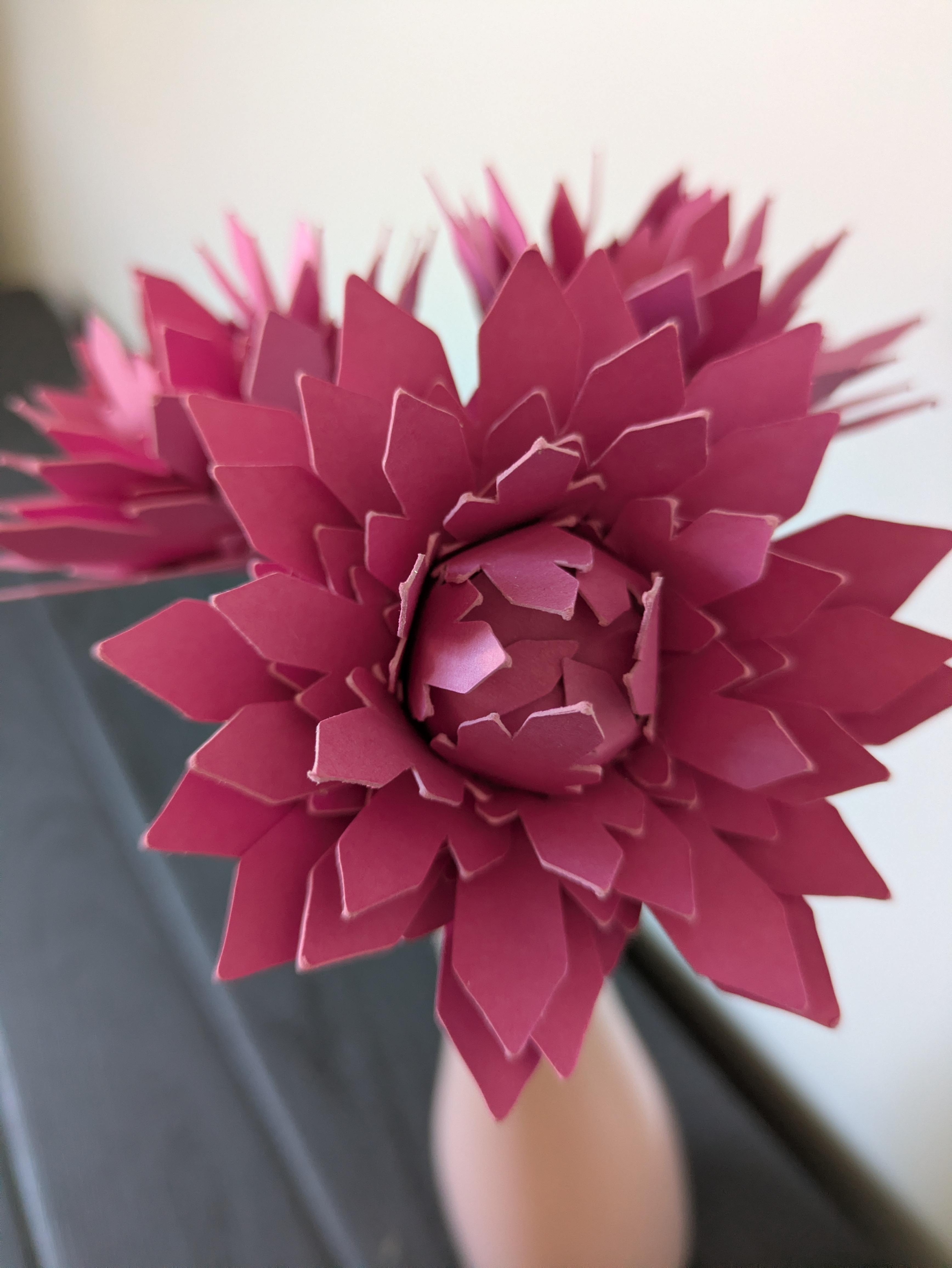 Trio de dahlias roses 