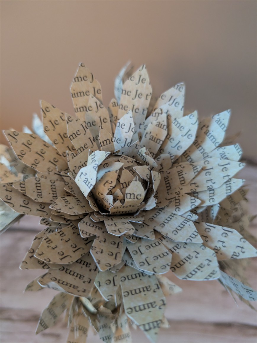 Fleur Message "Je t'aime"