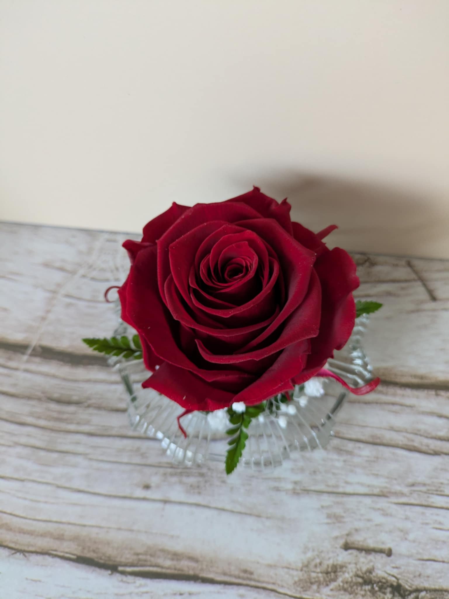 Annabelle Rose Eternelle