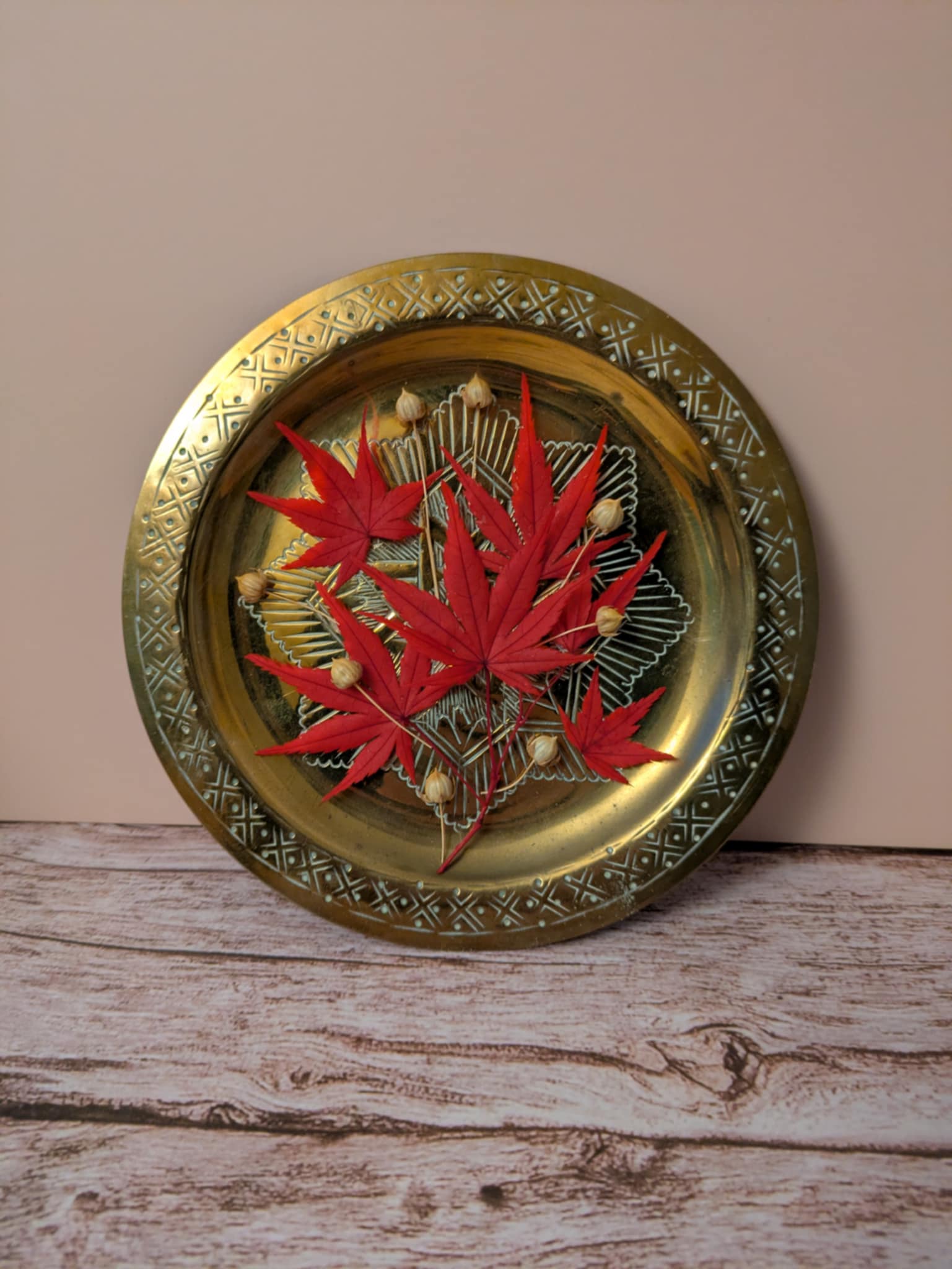 Erable du Japon rouge