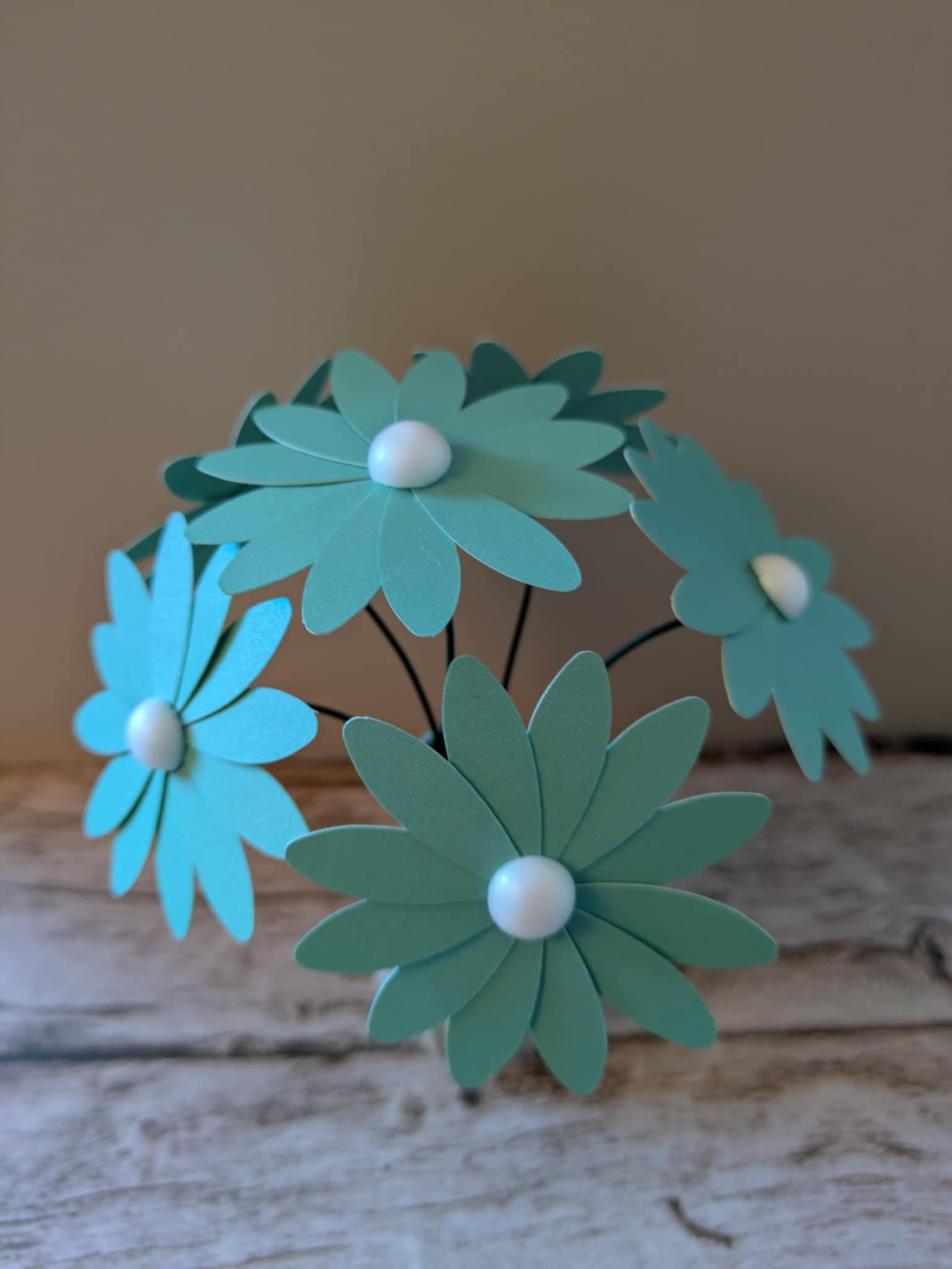 Marguerite bleue cœur blanc