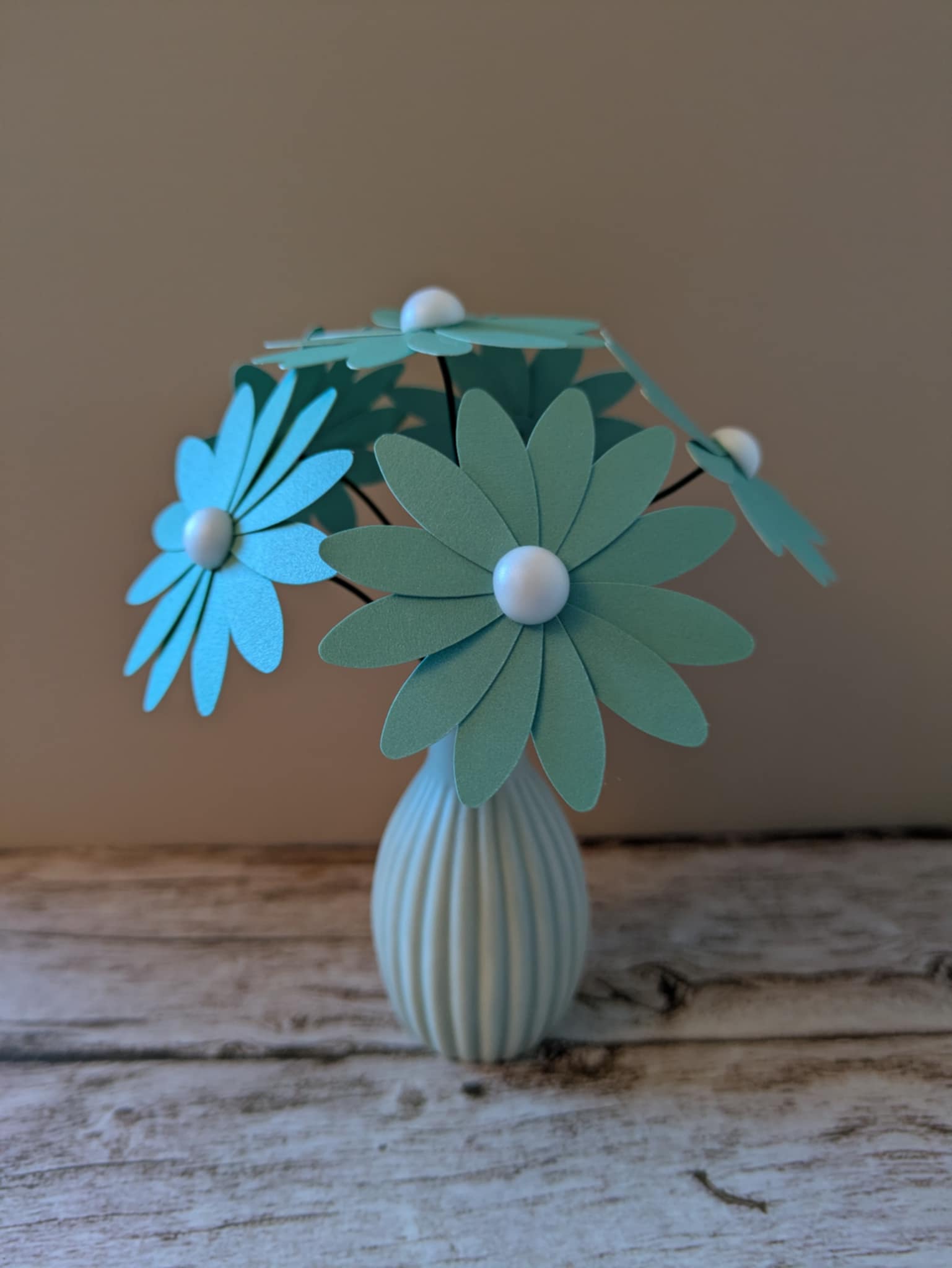 Marguerite bleue cœur blanc