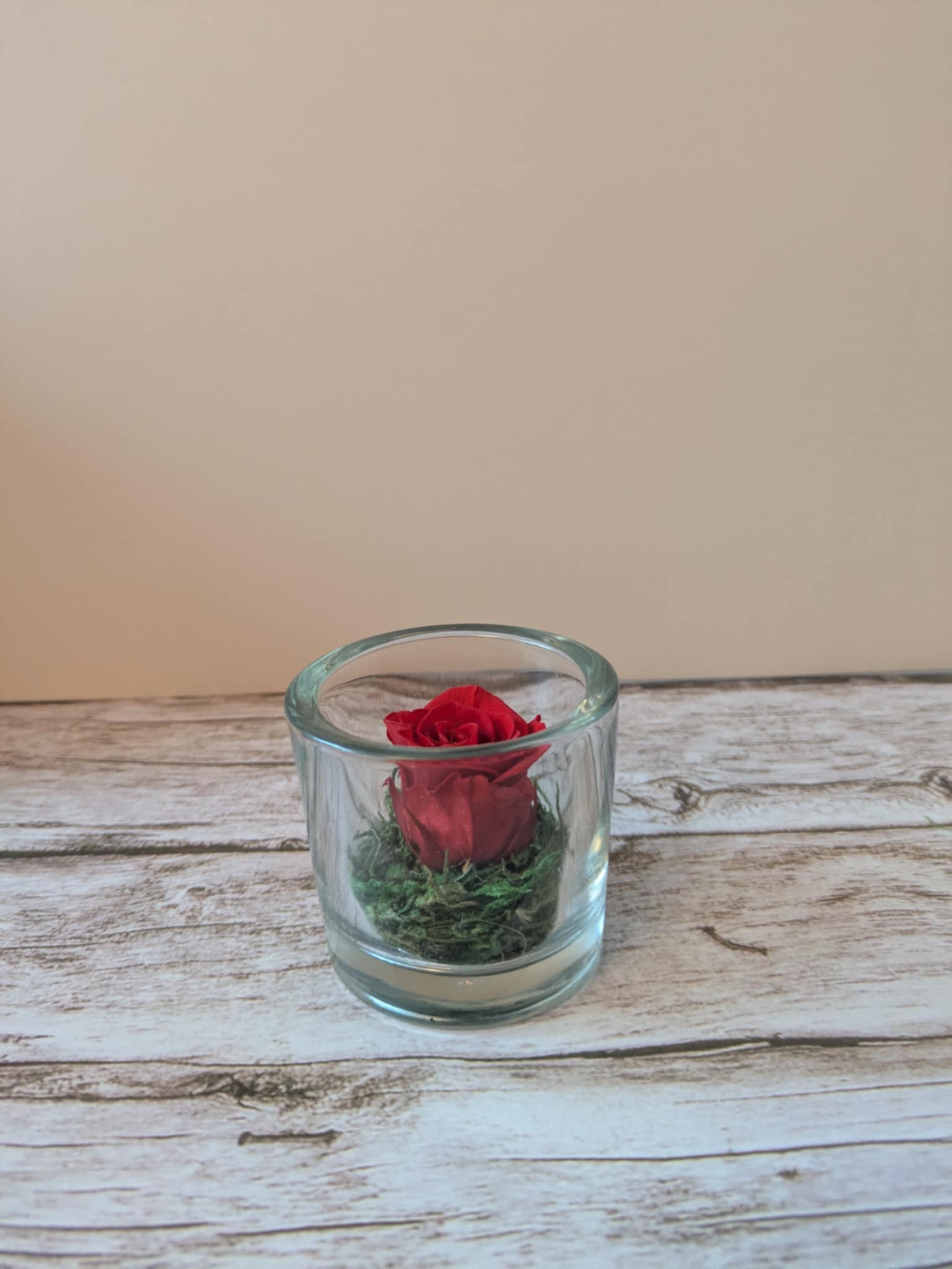 Julia rose stabilisé