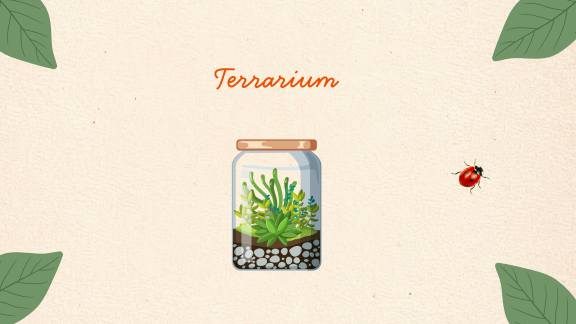 Image de l'atelier Créez votre terrarium